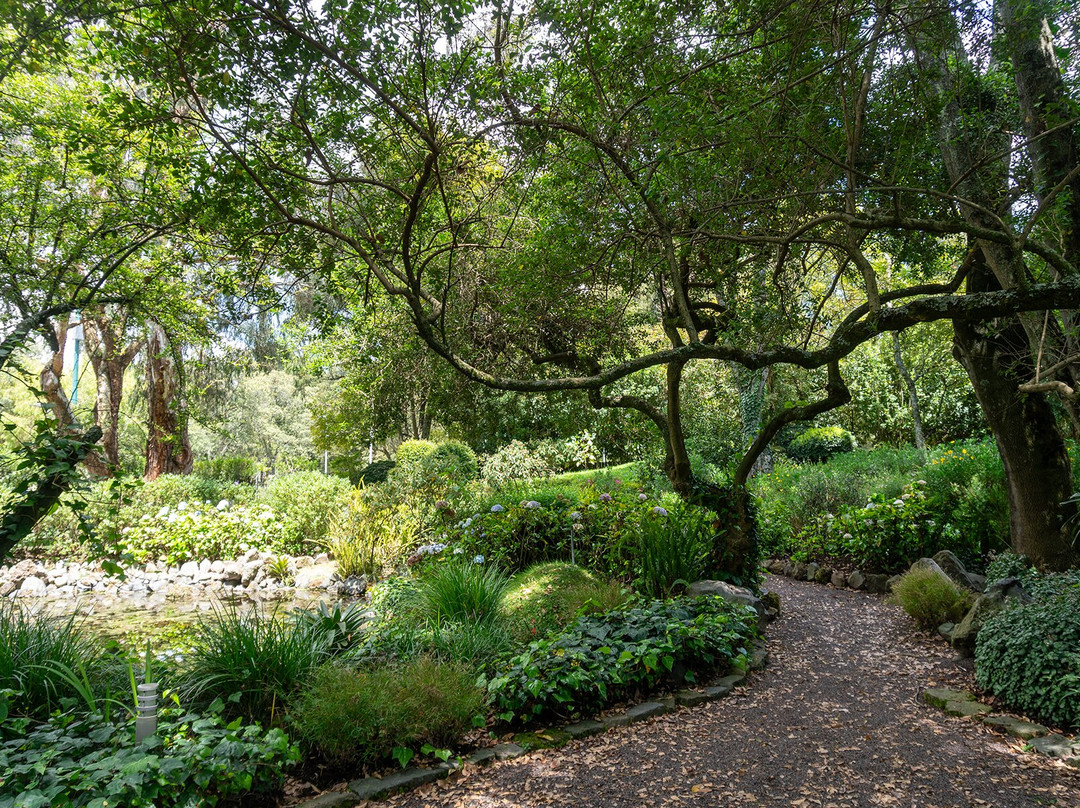 Jardín Botánico de Quito-基多必去景点