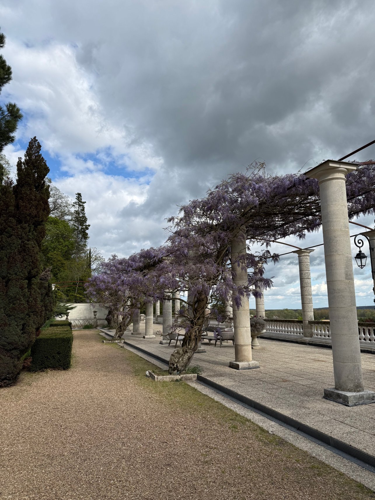 罗切科特城堡酒店-官方