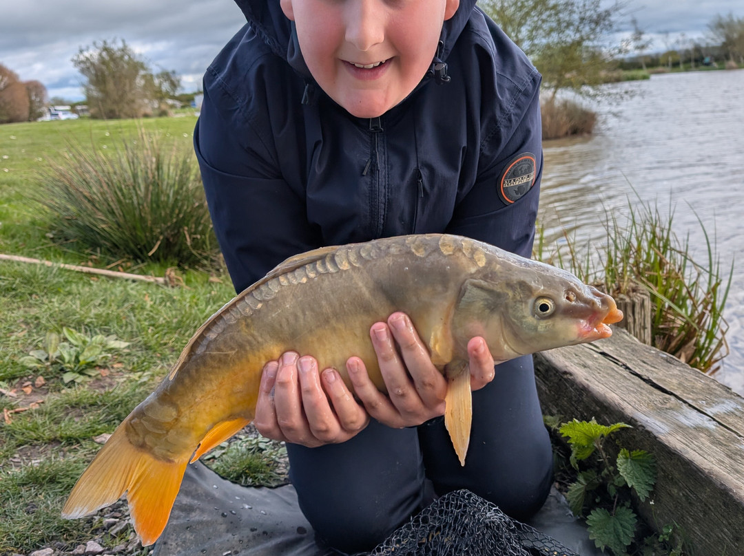 新农场民宿主图