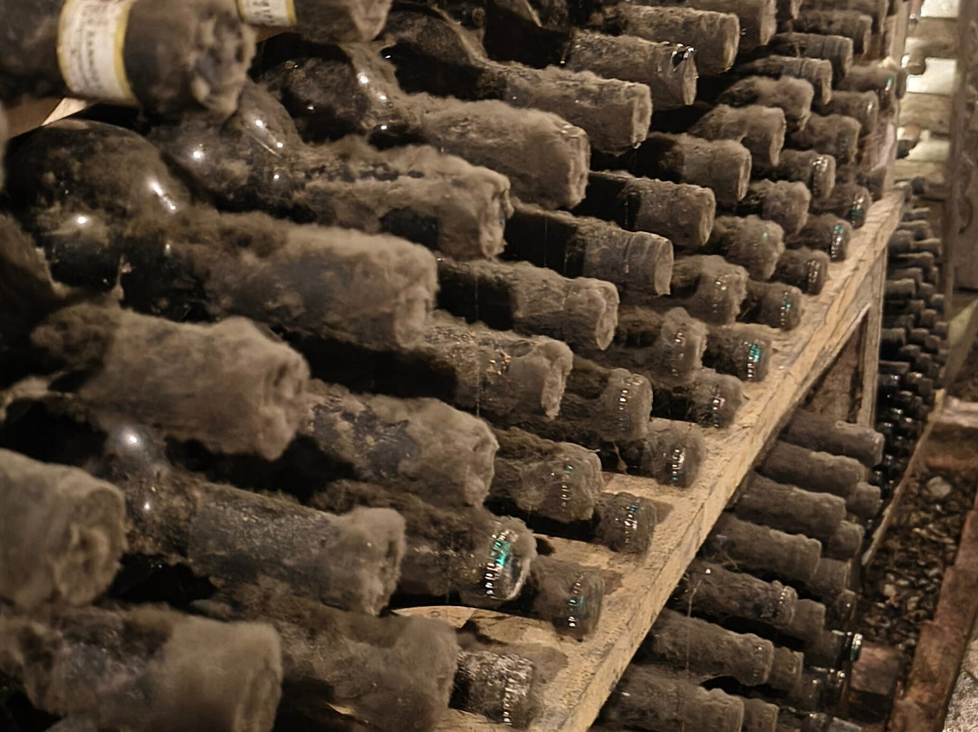 Cantine del Notaio-Rionero in Vulture必去景点