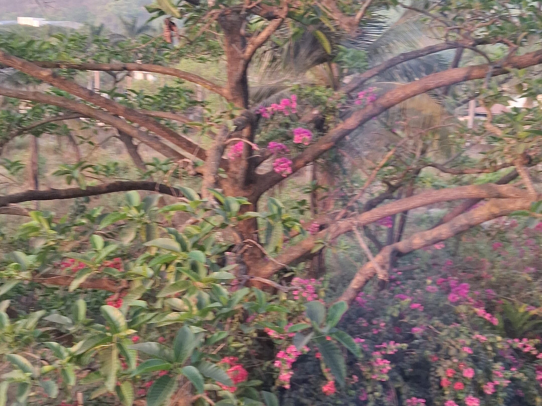 费尔恩庇护度假村帕尔加尔，万豪系列主图