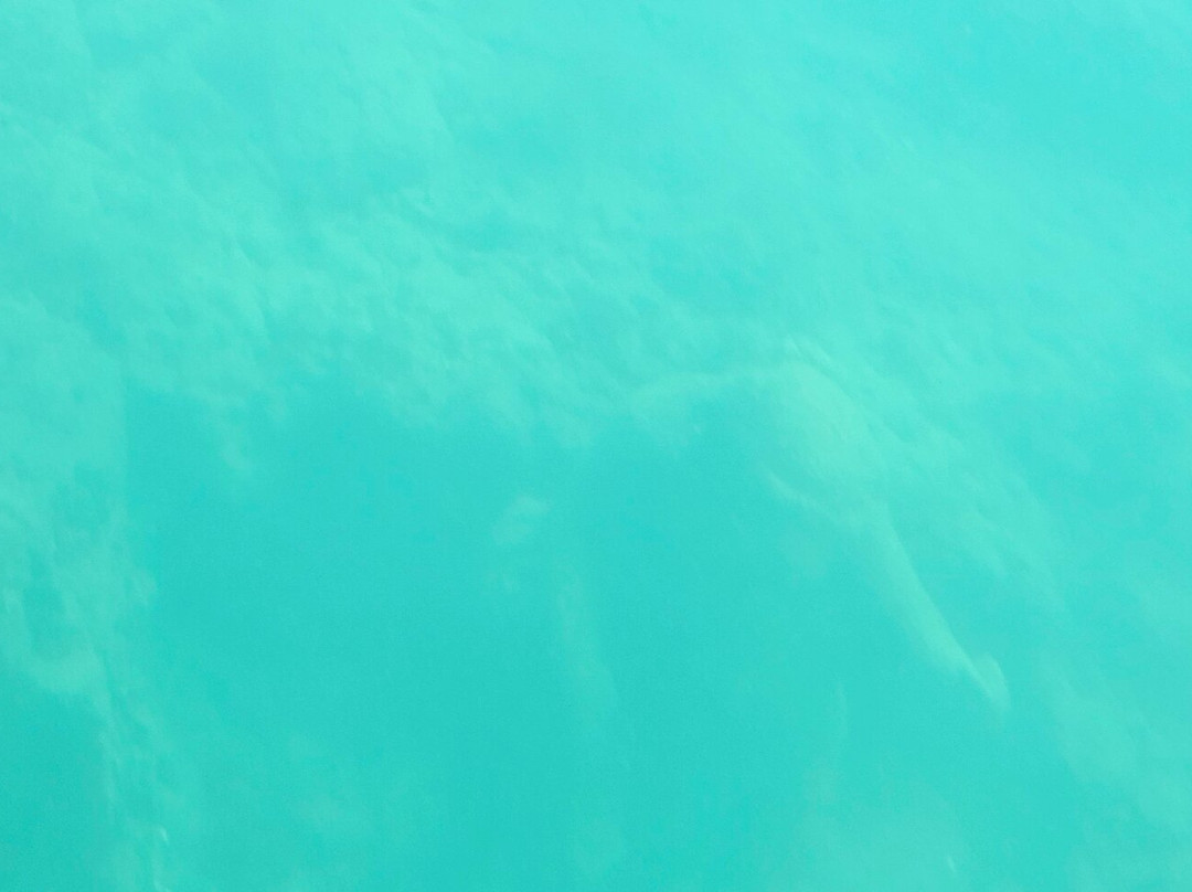 Nemosub Baia-Baiae必去景点