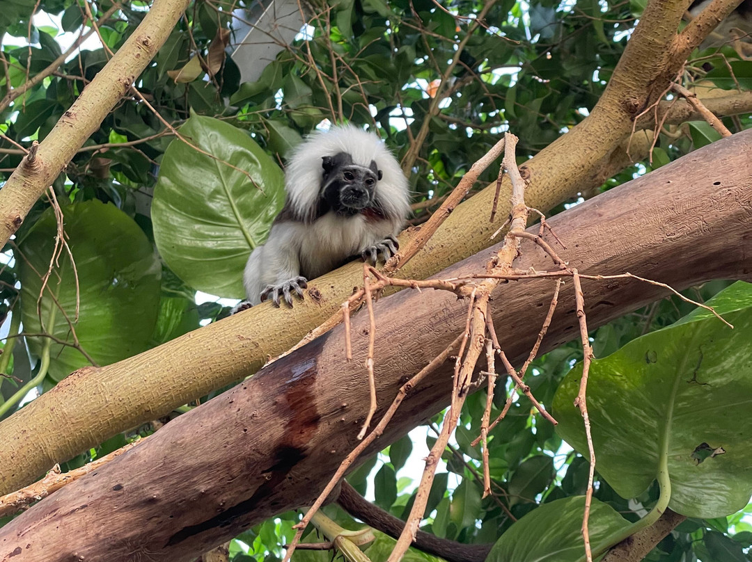 Krokodille Zoo-Eskilstrup必去景点