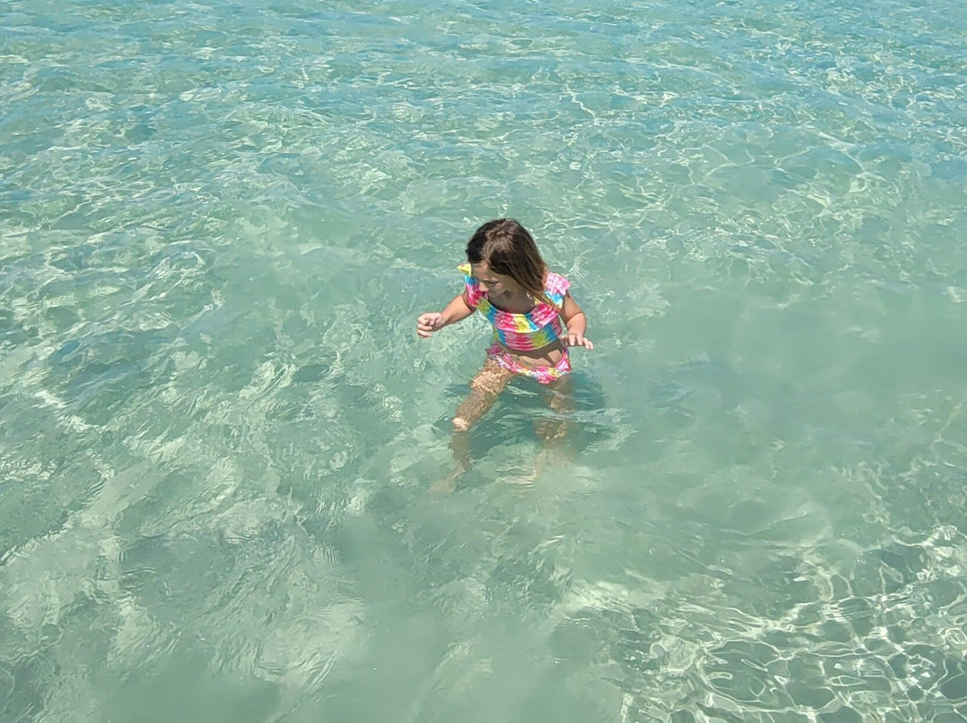 Island Boat Tours & Adventures-Bradenton Beach必去景点