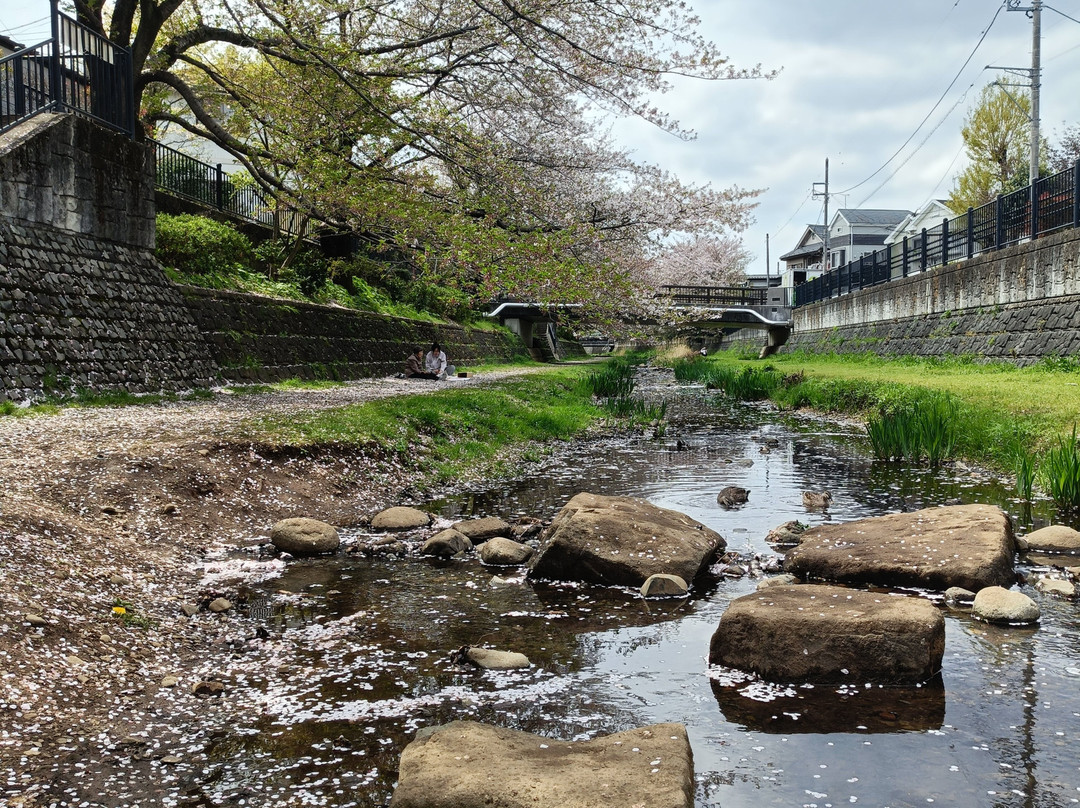 吉祥寺-武藏野市必去景点