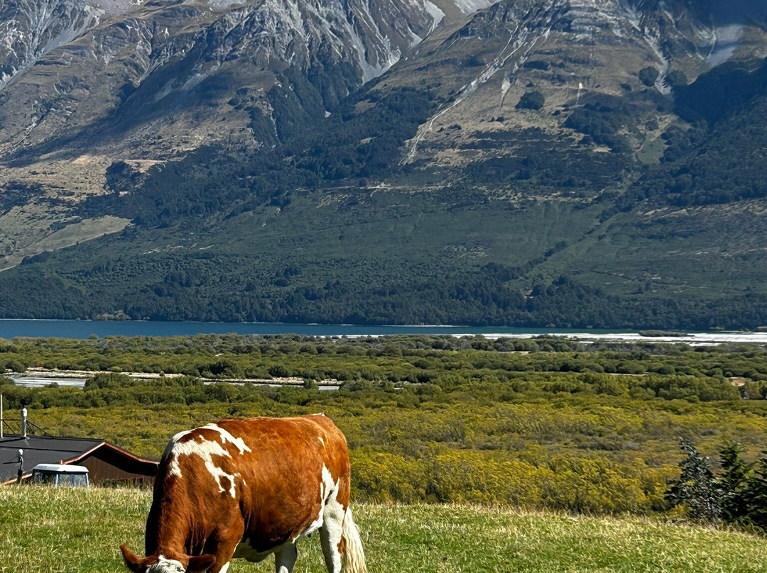 Glenorchy Animal Experience-格伦诺基必去景点