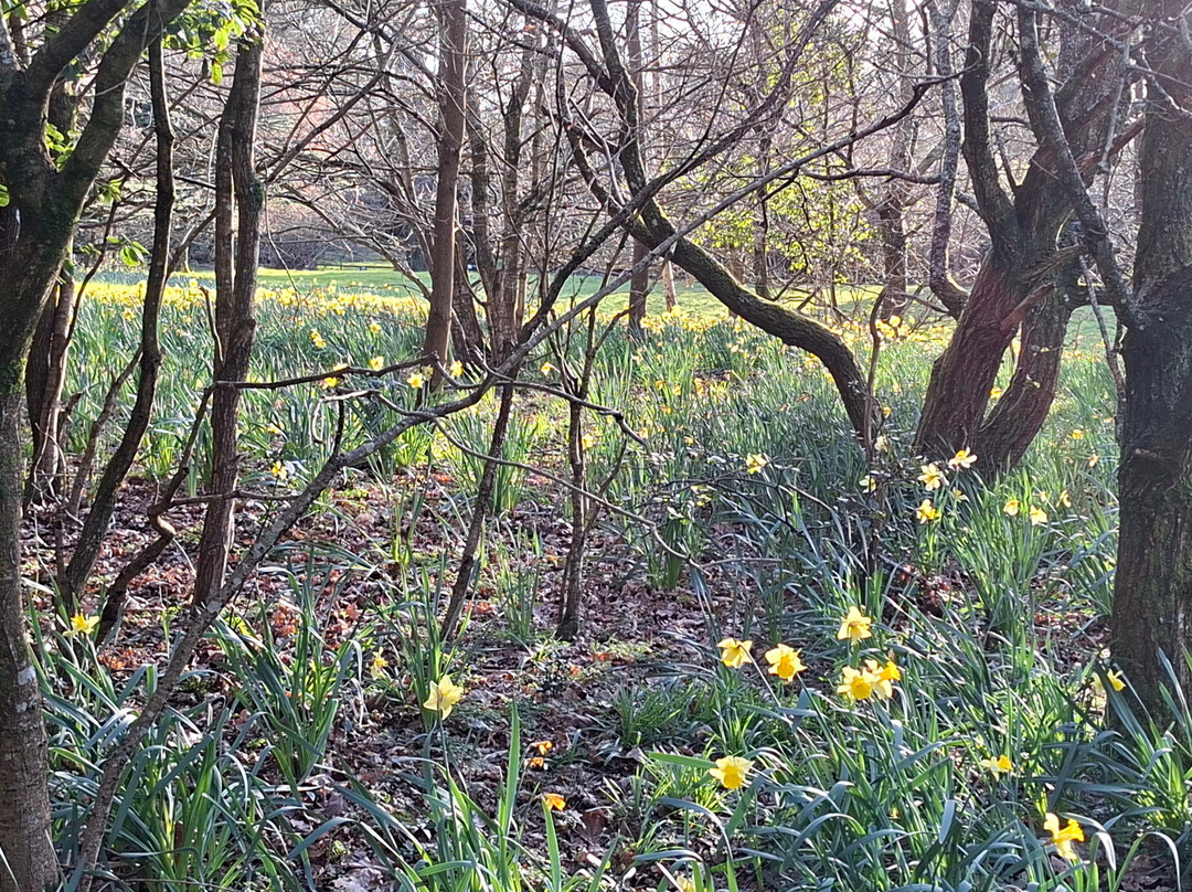 Foxlease Park