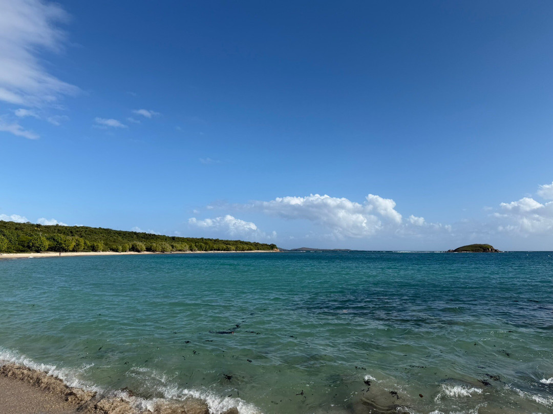 Islandbuddy Jeep Tours-圣 托马斯必去景点