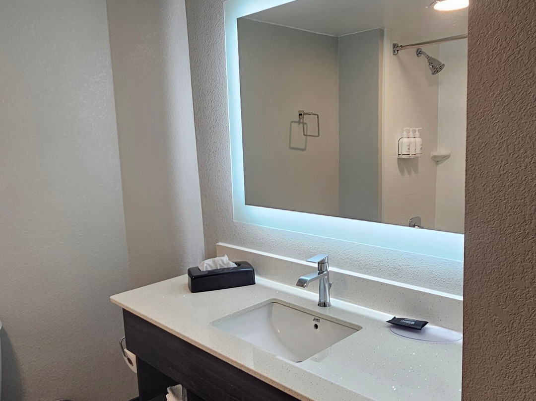 古德利茨维尔蔚景温德姆酒店主图