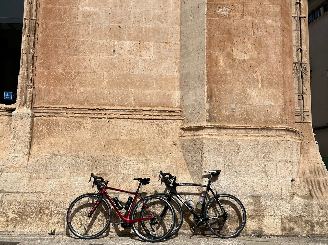 VIP Cycling-Ses Illetes必去景点