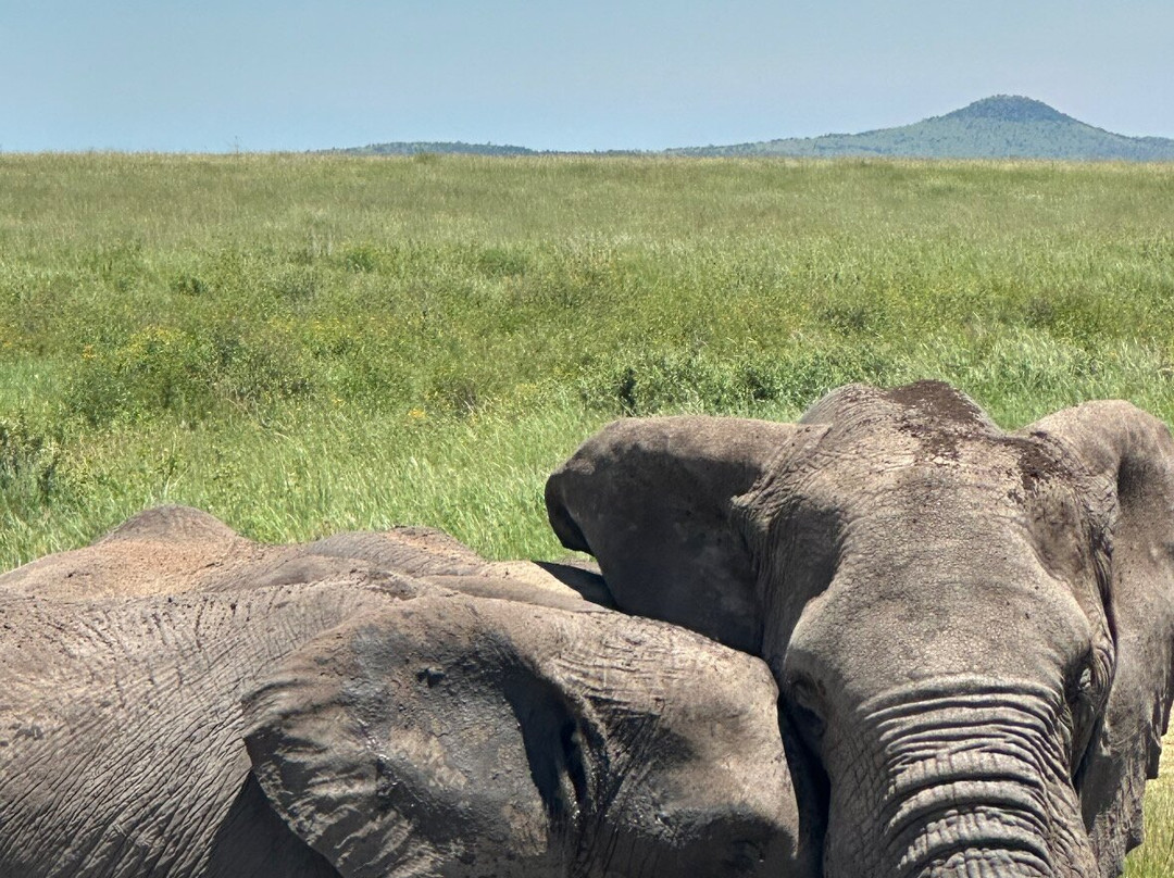 Tanzania Roadside Expeditions-阿鲁沙必去景点