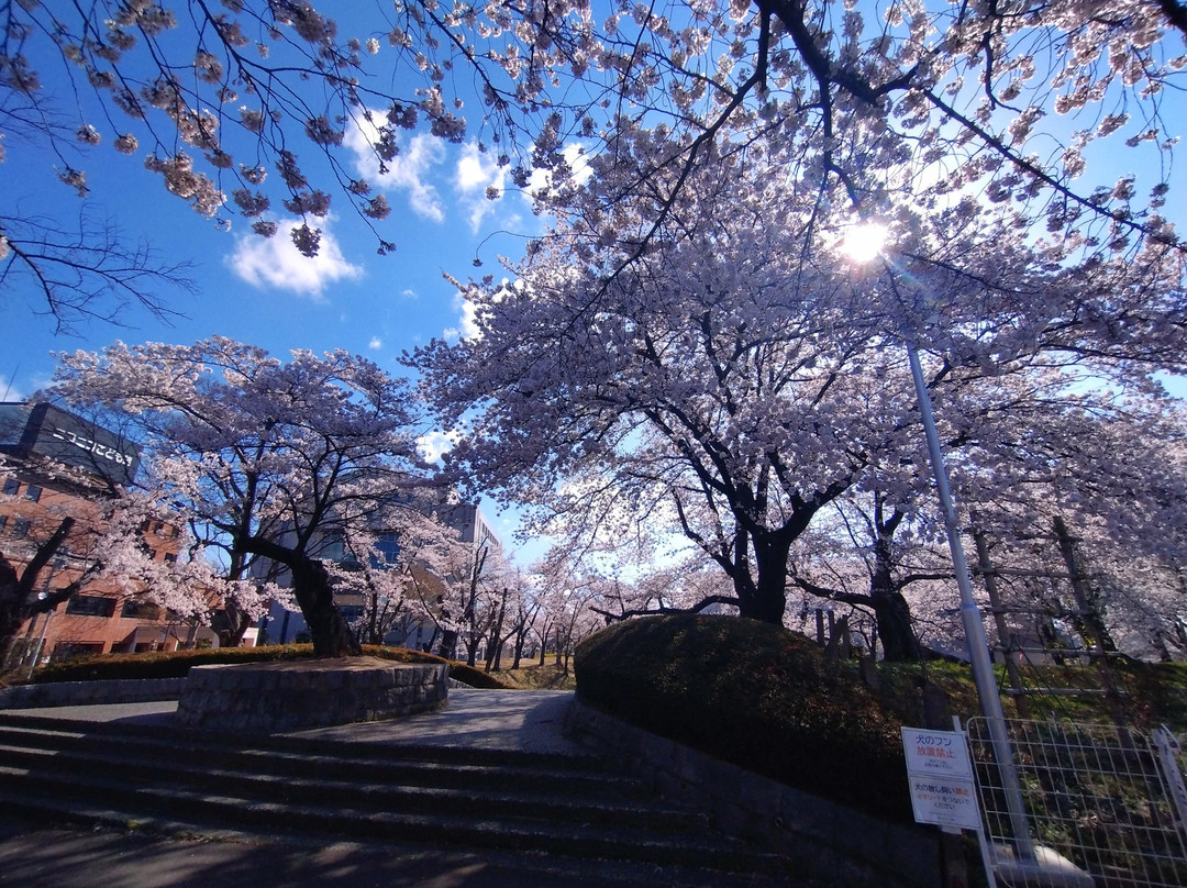 Kaiseiyama Park-郡山市必去景点