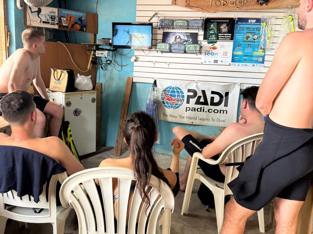 Undersea Tobago Ltd-克朗波因特必去景点