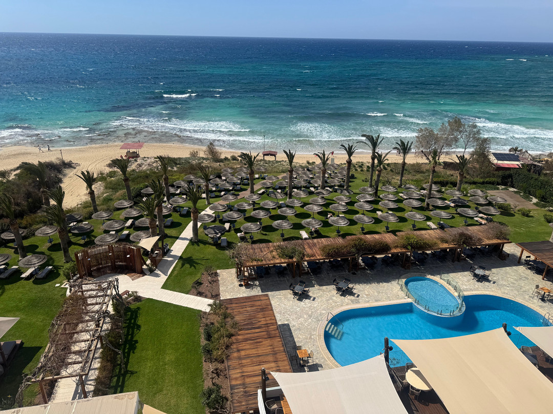 阿里恩海滩酒店主图