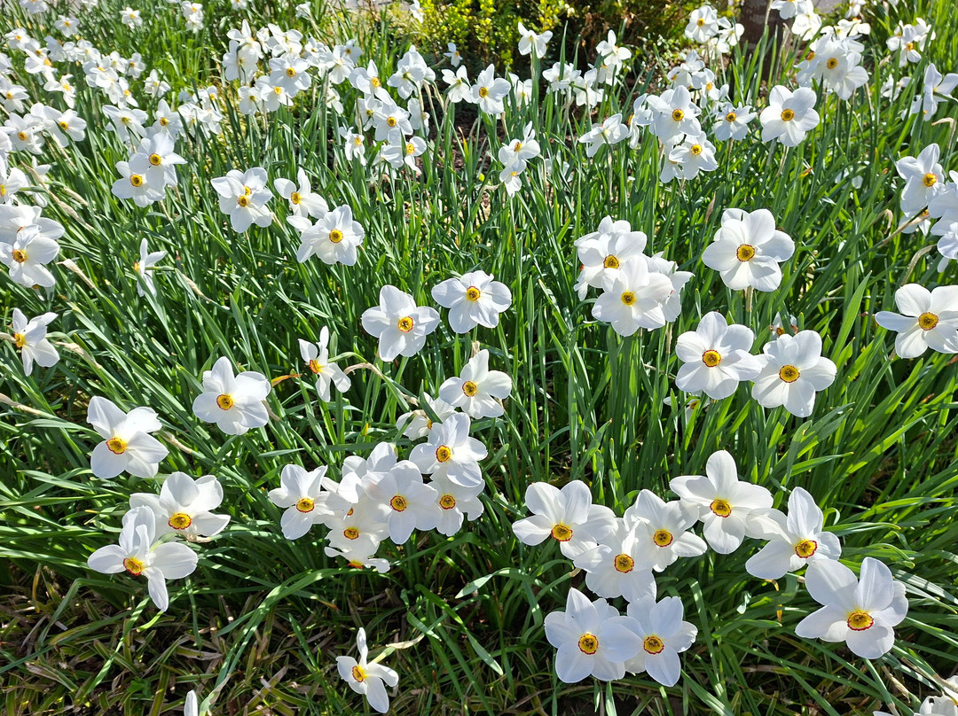 Bad Schinznach-Schinznach Bad必去景点