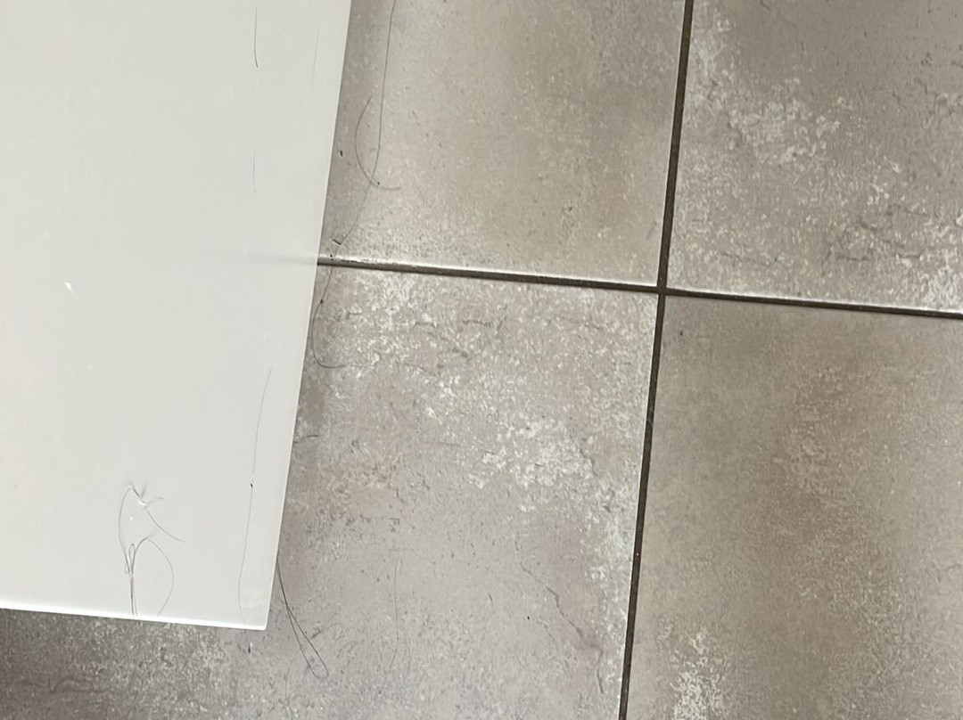 大西洋海风 - 限成人主图