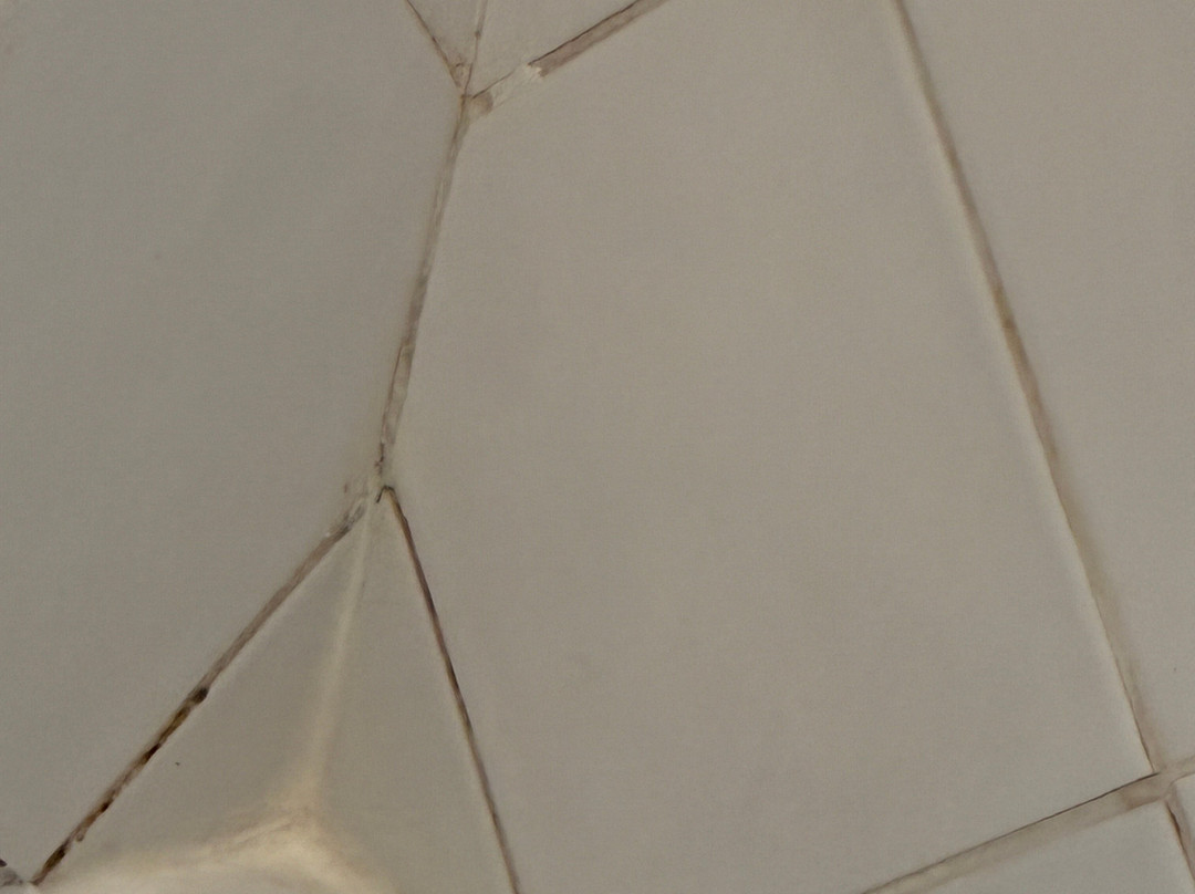 Valley of the Rocks-林茅斯必去景点