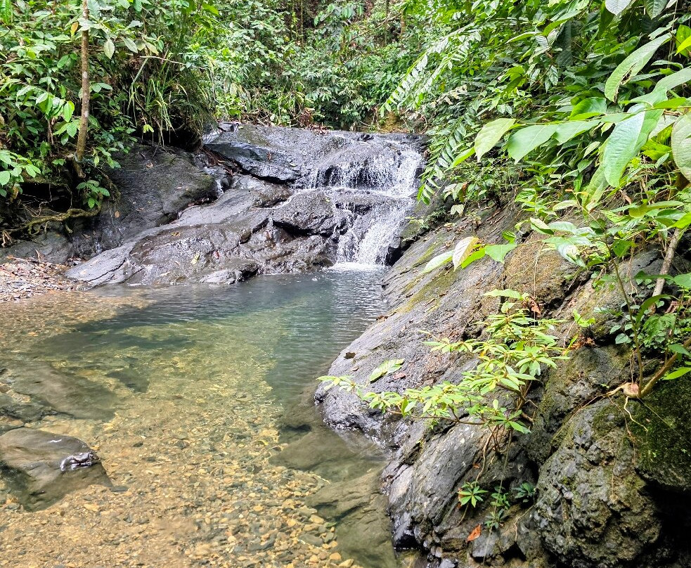 Ulu Temburong National Park-乌鲁淡布伦国家公园必去景点