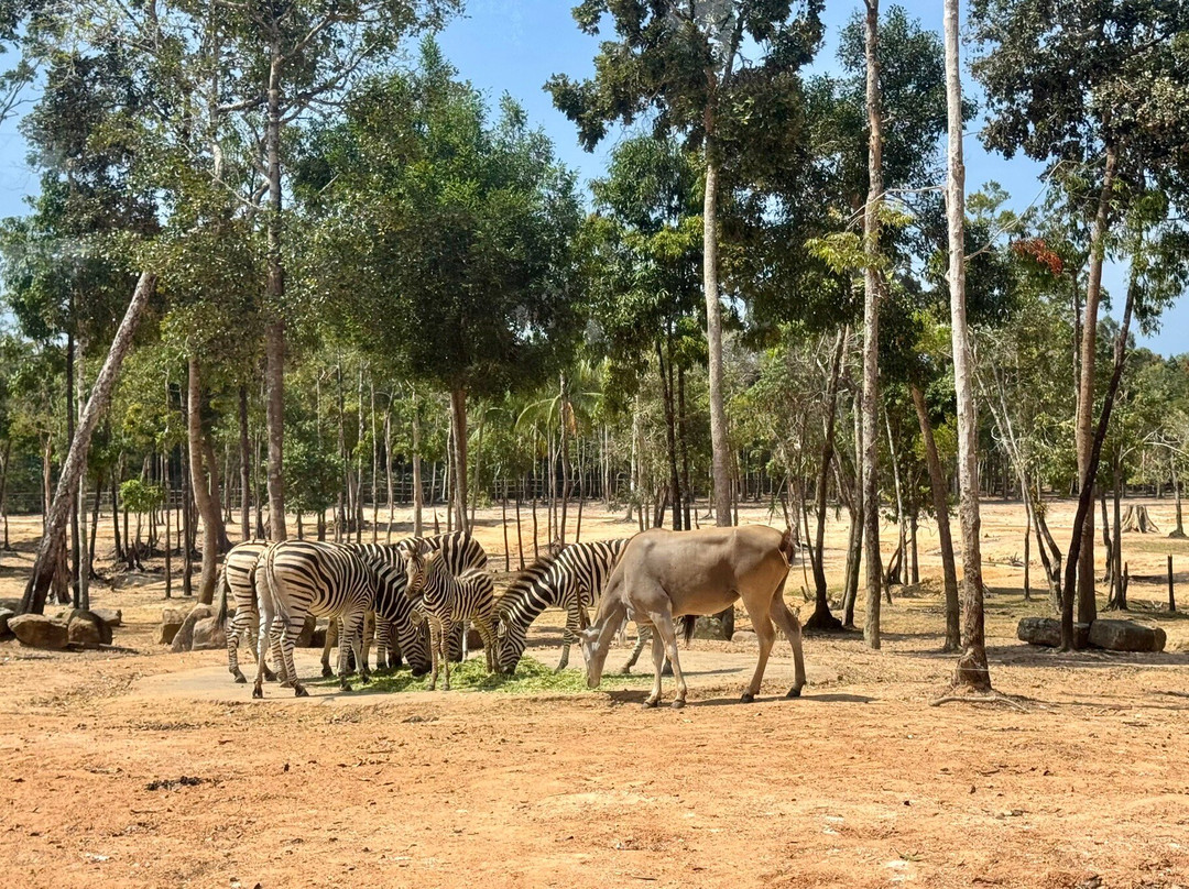 珍珠王国野生动物园-富国岛必去景点