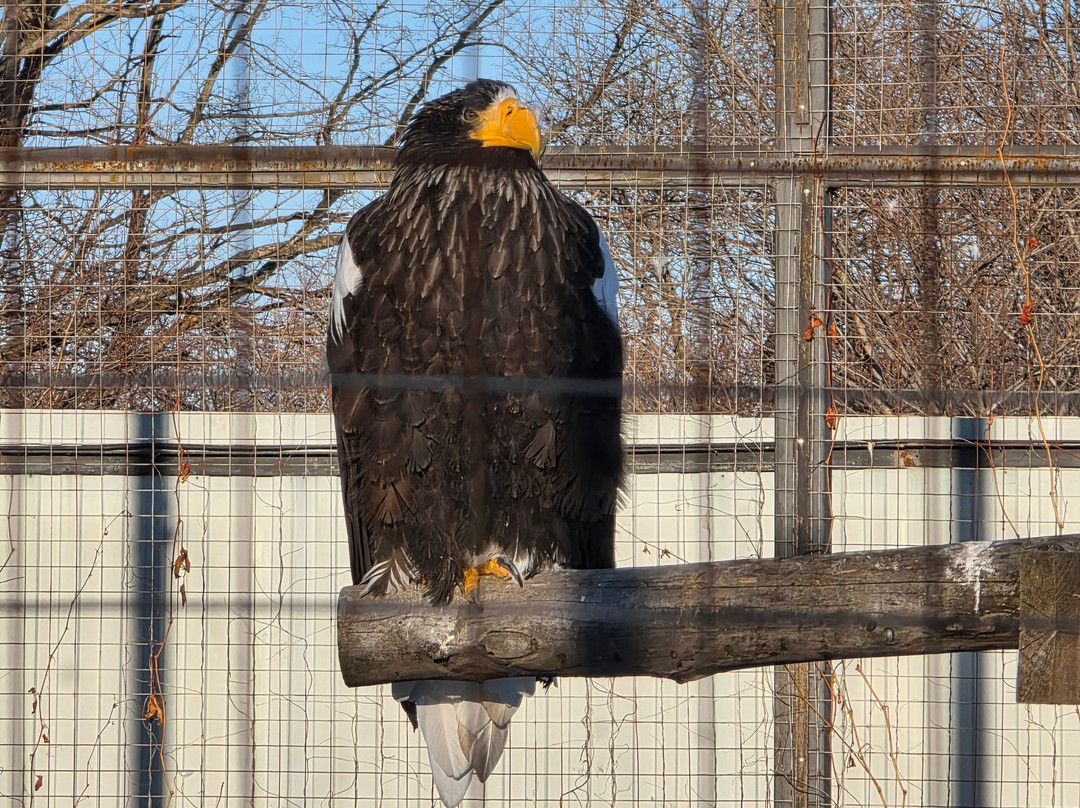 Zoopark Sikhote-Alin-Komsomolsk-on-Amur必去景点