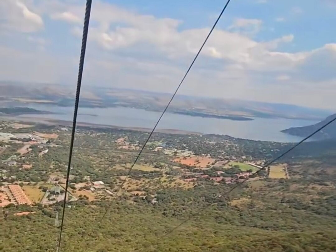 The Joburg Squirrel-约翰内斯堡必去景点