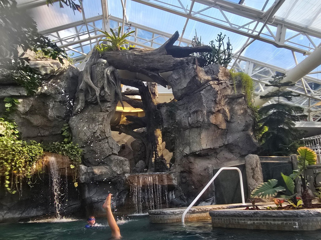 Reflections Spa-Hamburg必去景点