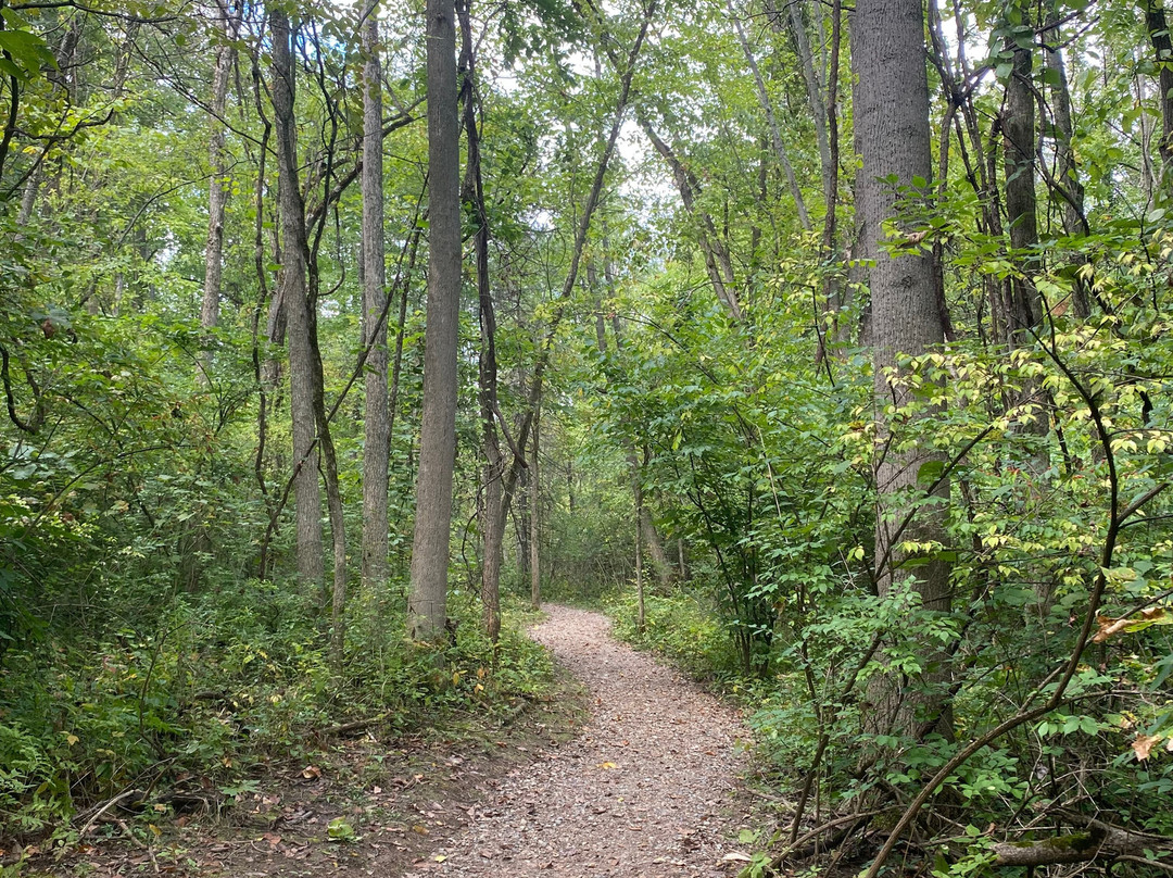 F.A. Seiberling Nature Realm-阿克伦必去景点