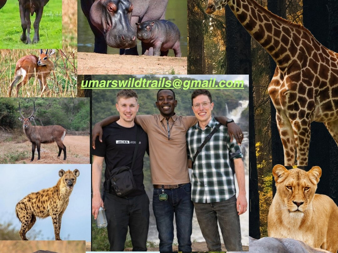 Murchison Falls National Park-马辛迪必去景点