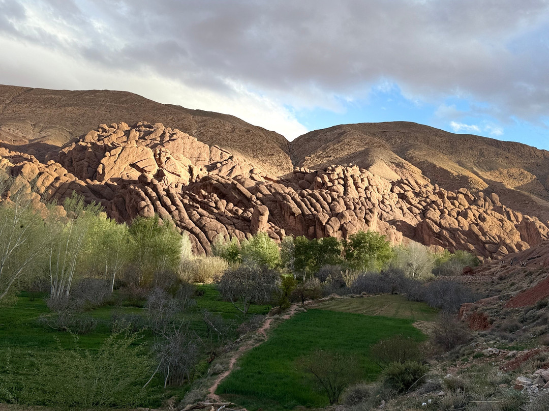 Wild Desert of Morocco-卡萨布兰卡必去景点