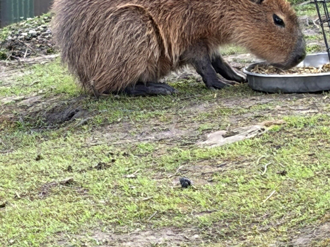 Peak Wildlife Park-Winkhill必去景点