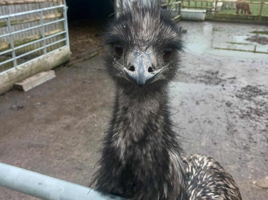Butterfly World & Farm Park-Wanborough必去景点