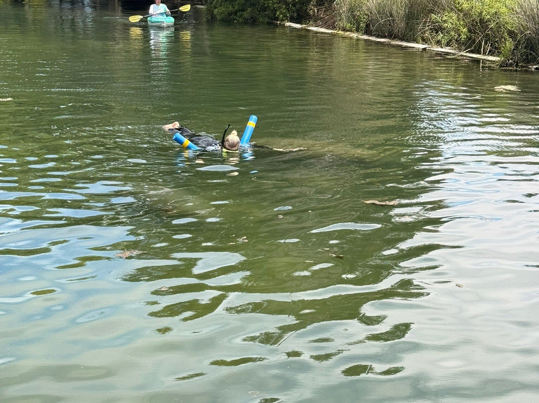 Family Adventure Charters-克里斯特尔里弗必去景点