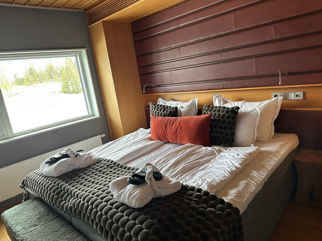 Copperhill Mountain Lodge主图