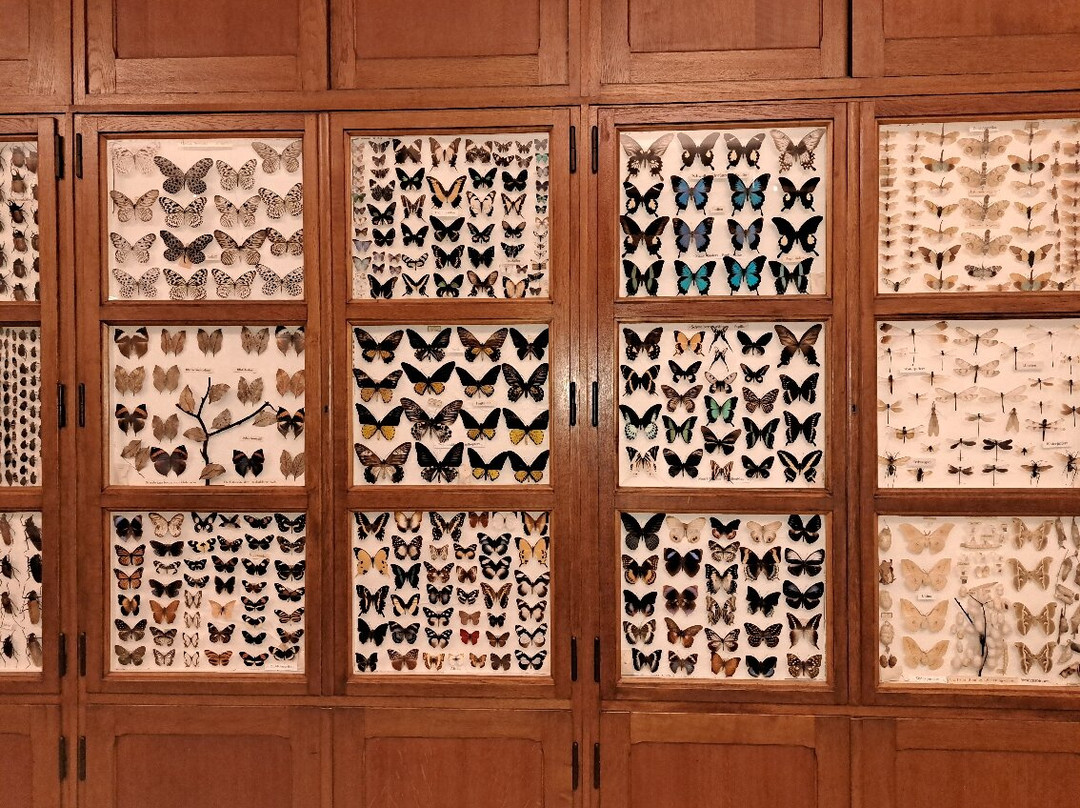 Missiemuseum Steyl-Steijl必去景点