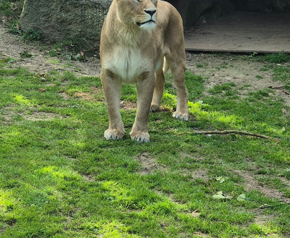 Zoo De Champrepus-Champrepus必去景点