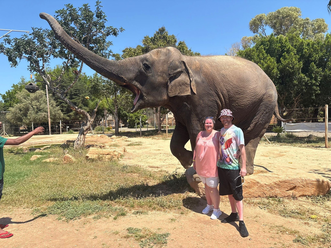 Pafos Zoo-帕福斯必去景点