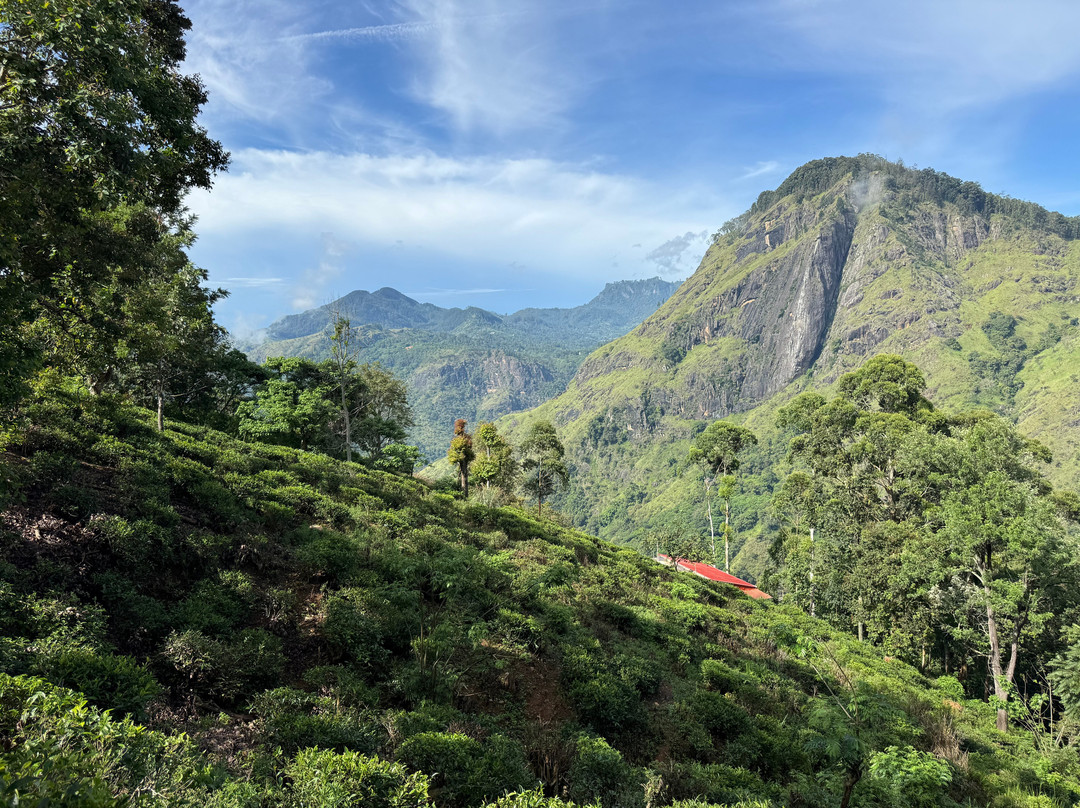 Simply Ceylon Tours-康提必去景点