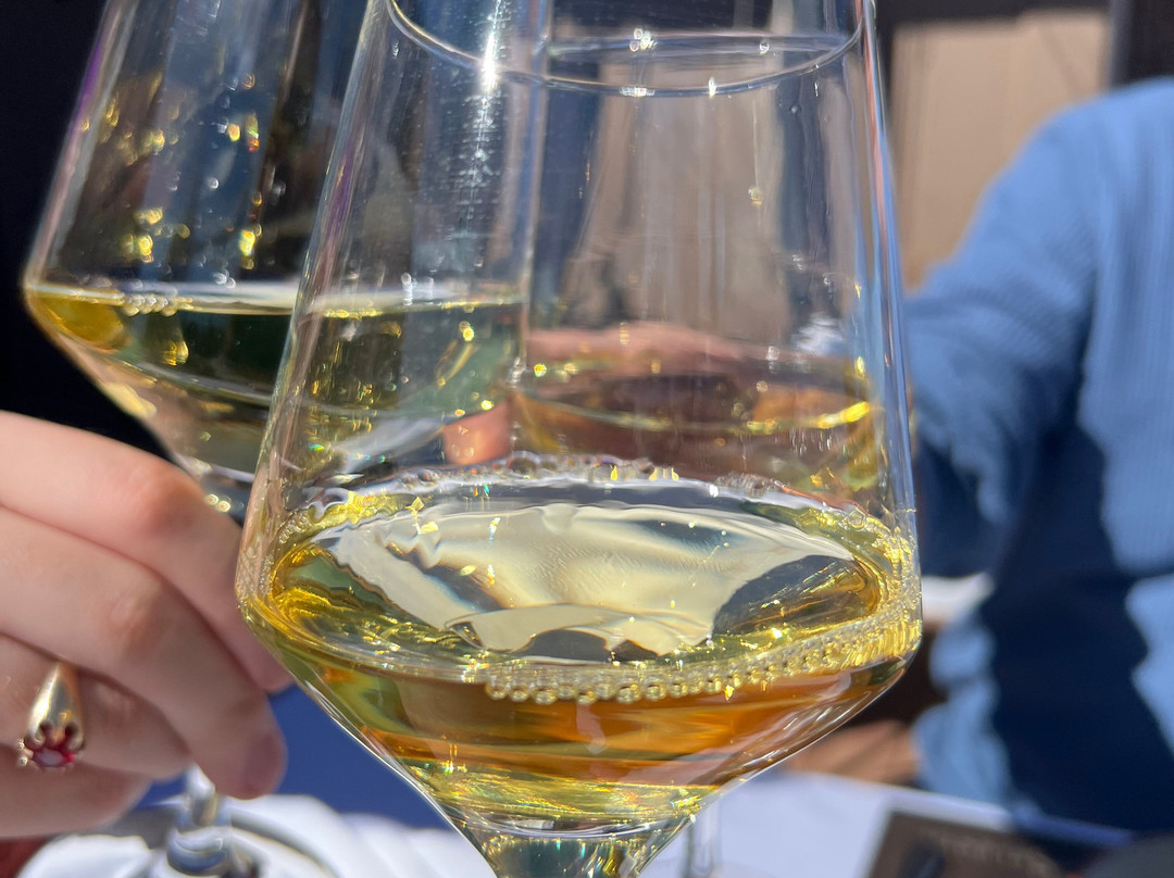 Borravino Wine Tours Argentina-门多萨必去景点