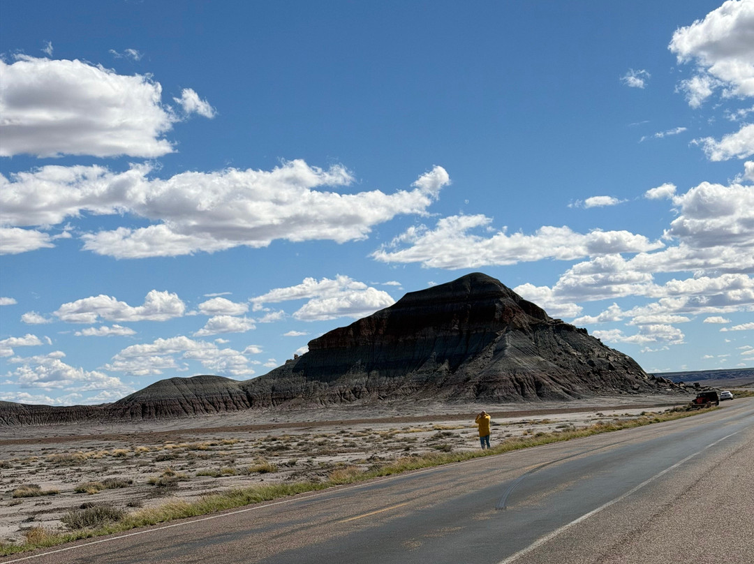 Painted Desert-石化林国家公园必去景点