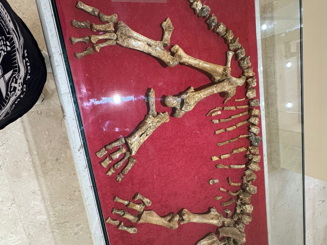 Museum of Mineralogy and Paleontology Stamatiadis-Ialysos必去景点