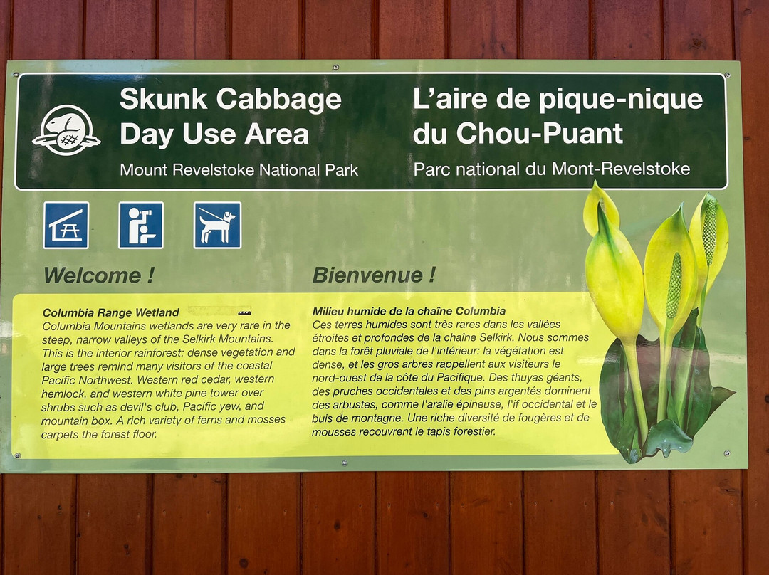 Skunk Cabbage Boardwalk-雷夫尔斯托克必去景点