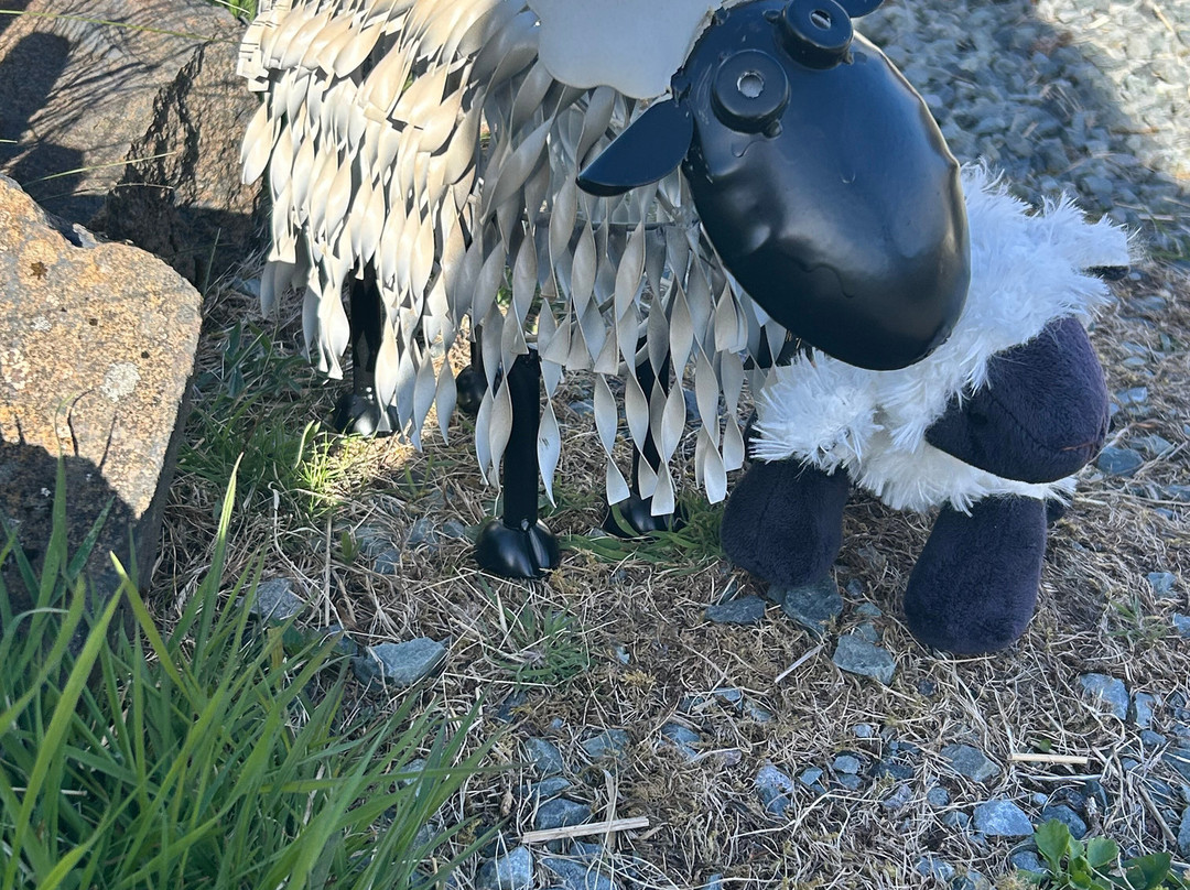 Gift Shop sheepskins skye-Glendale必去景点