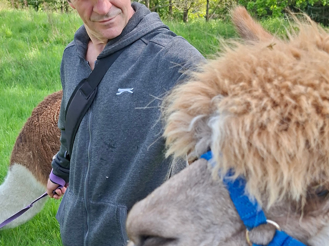Middle England Farm Alpacas-Henley in Arden必去景点