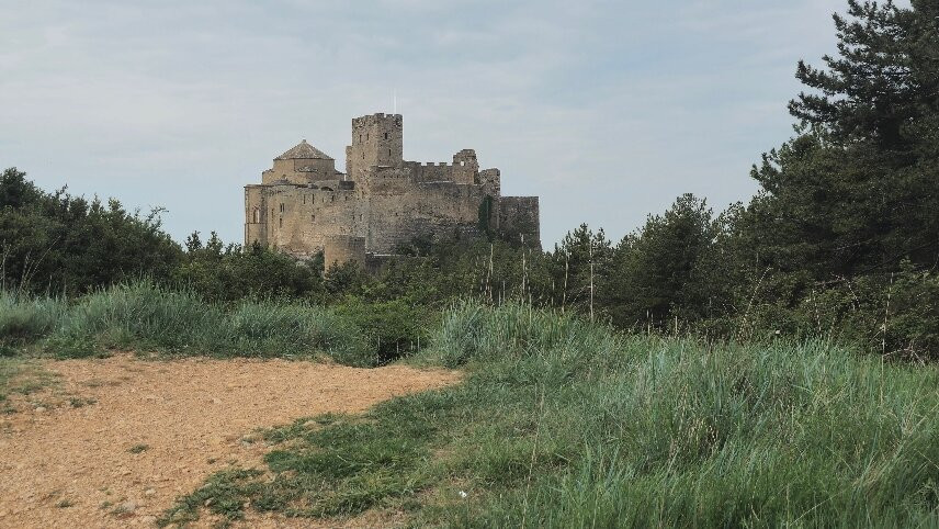 Labanera