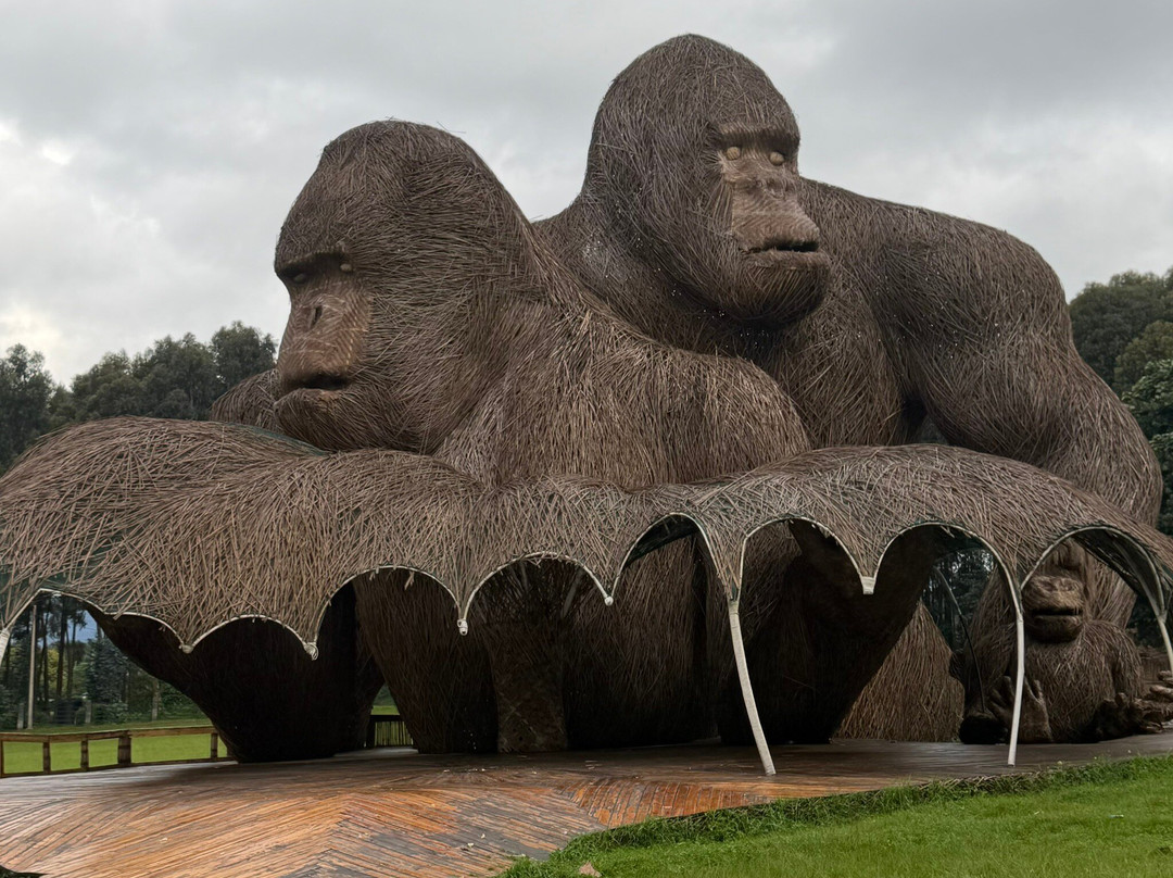 Volcanoes National Park Rwanda-Musanze District必去景点