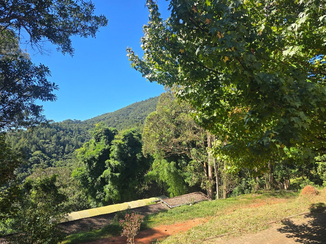 Jardim dos Pinhais Ecco Parque-圣安东尼奥杜皮尼亚尔必去景点