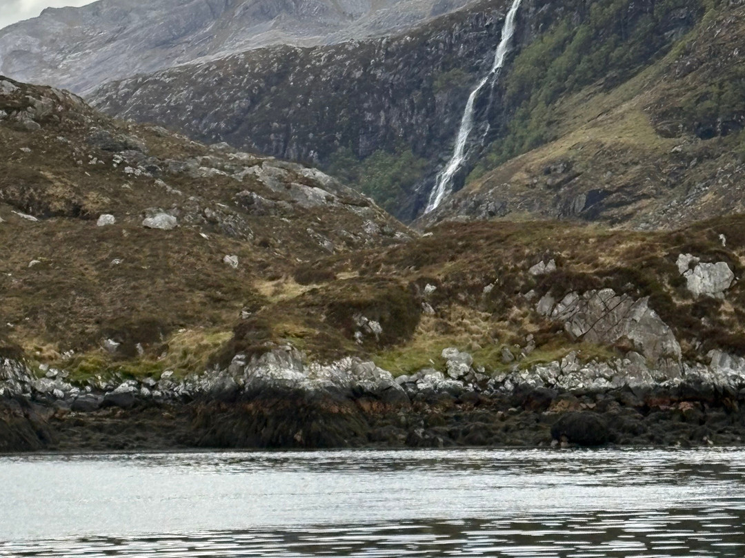 Kylesku Boat Tours-Kylesku必去景点