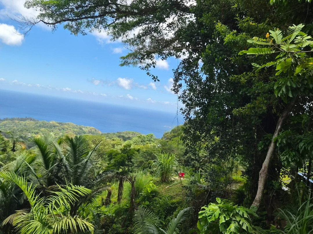 Shurland Nature Park-多巴哥必去景点
