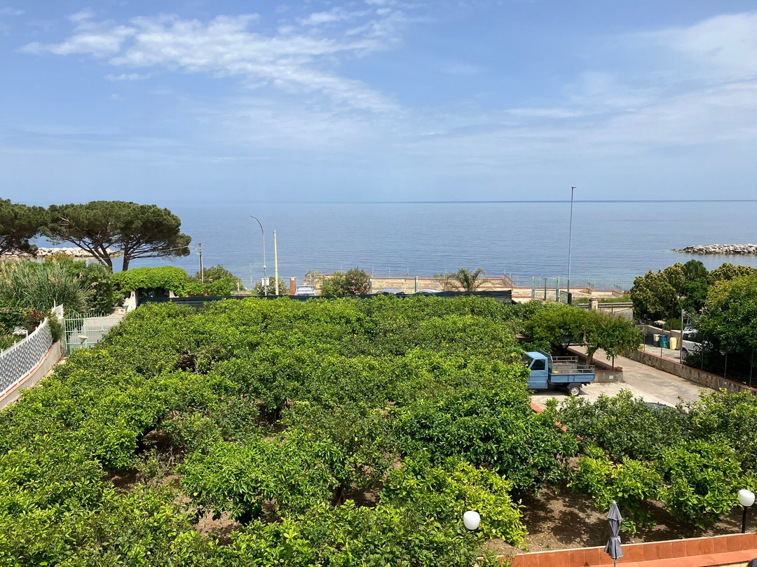 B&B Giardino Dei Cedri主图