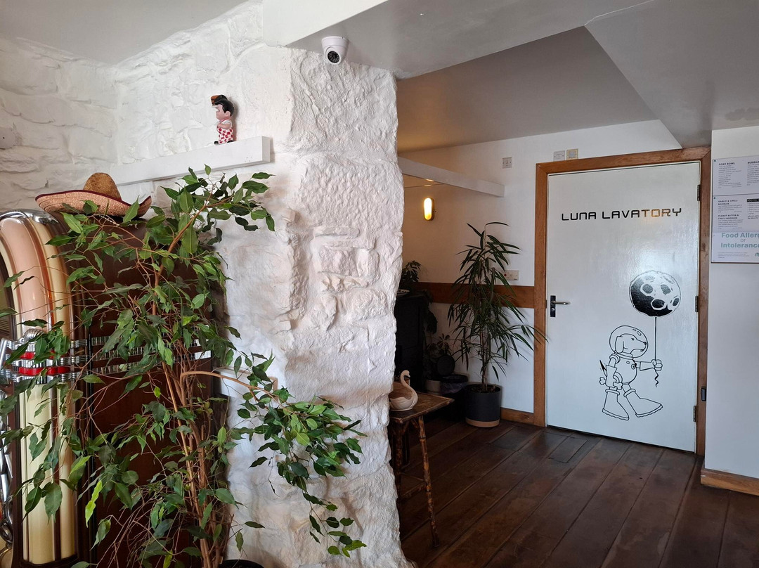 Moondog Cafe